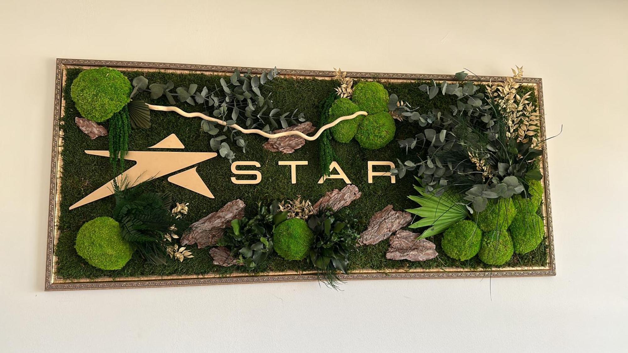 טולצ'אה Star Hotel מראה חיצוני תמונה
